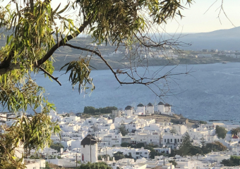Bild Mykonos - Diva der griechischen Kyladen Reisebericht