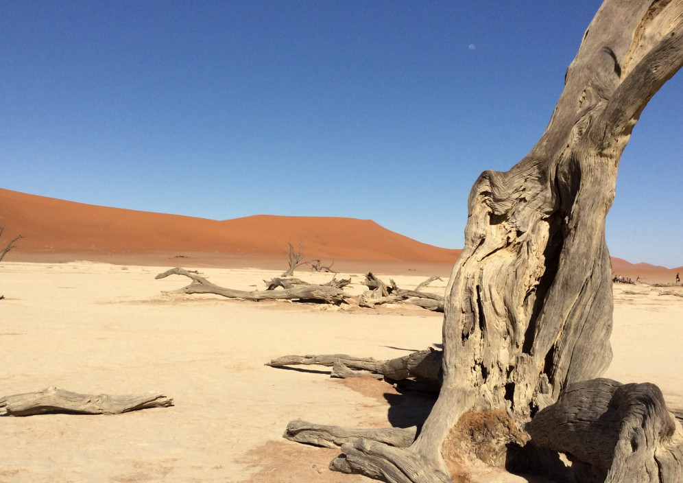 Namib Sossusvlei